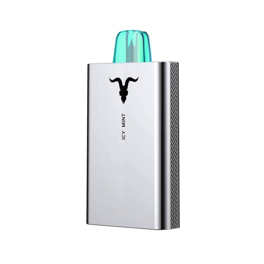 Ignite Icy Mint - 50mg/ml 5000 Puffs